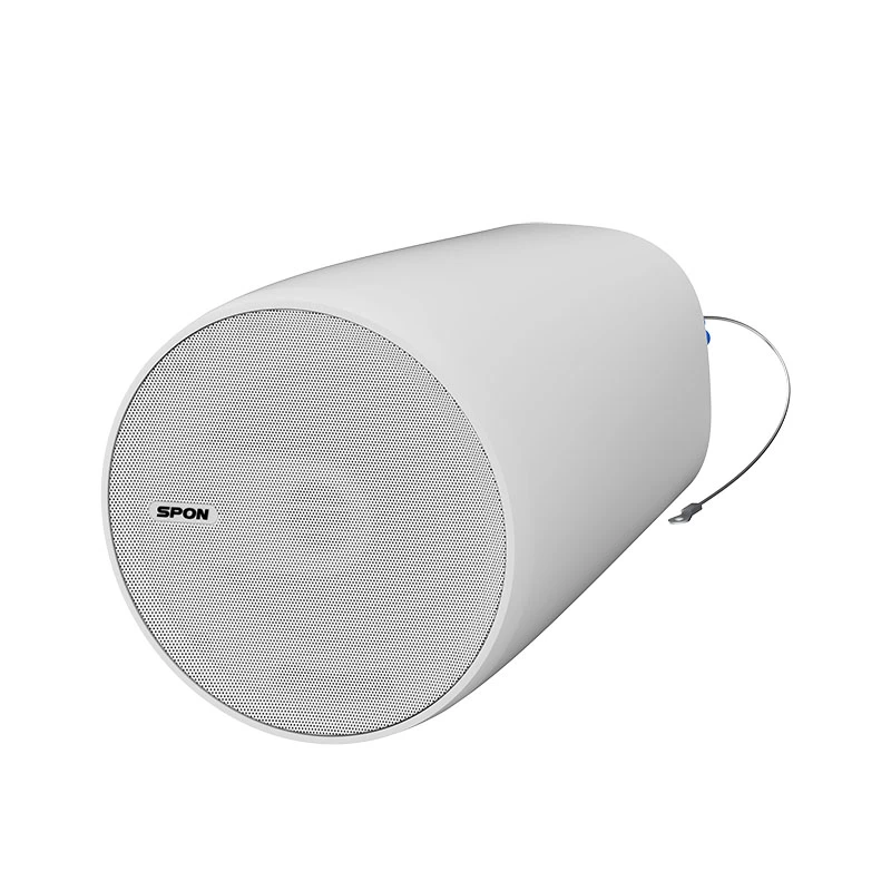 Network Pendant Speaker - GEN-6511A02